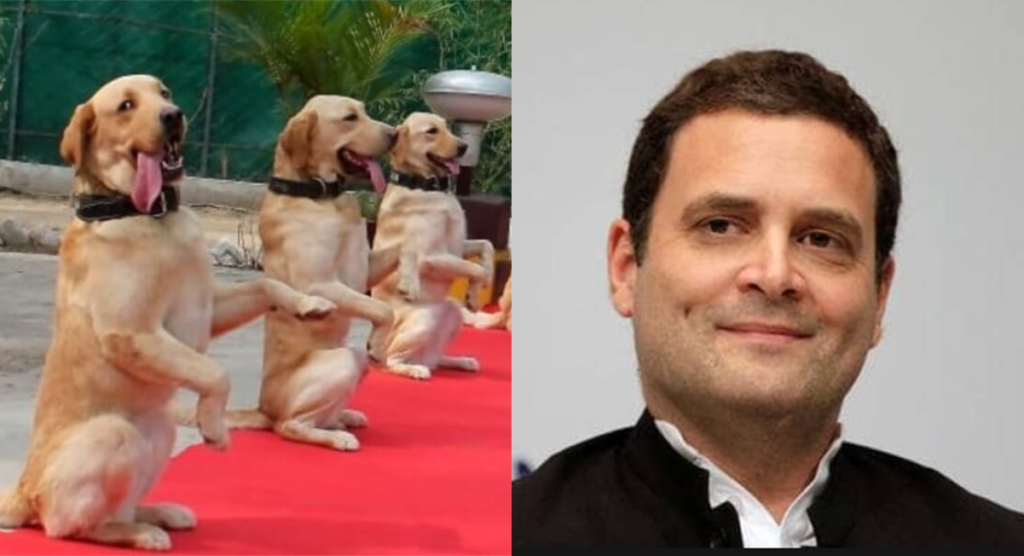 Rahul Gandhi, Indian Army, dogs