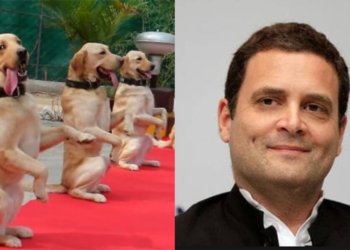 Rahul Gandhi, Indian Army, dogs