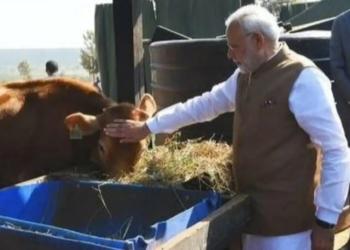 cow-centric, start-ups, modi government