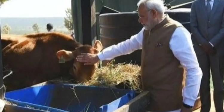 cow-centric, start-ups, modi government