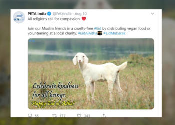peta, eid, jallikattu