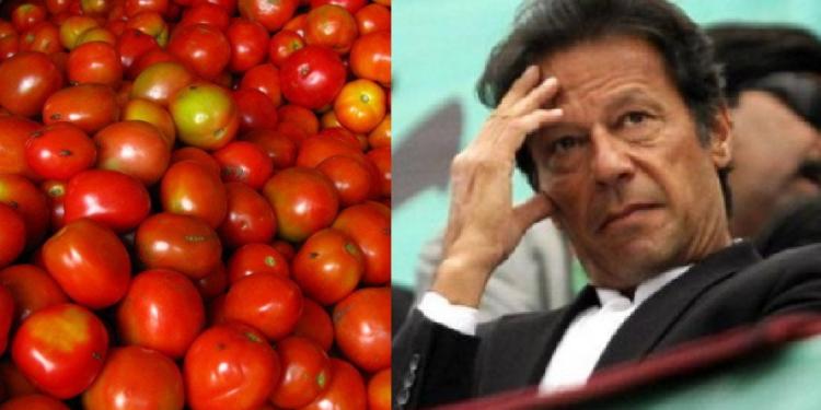 Prices of tomatoes touch 300 per kg in Pakistan
