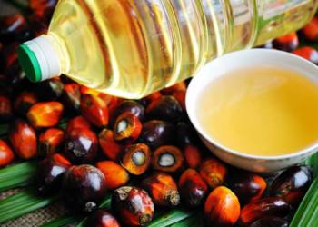 Palm oil