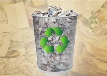 As other nations and their mascots ‘talk’, India takes massive leap towards rich ecology with its new recycle policy
