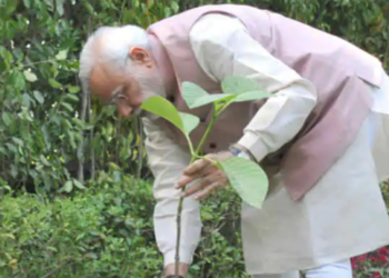 Modi, Greta Thunberg, Climate, renewable