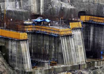 NGOs, Environmentalists, China