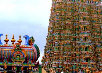 hindu, hindus, constitution