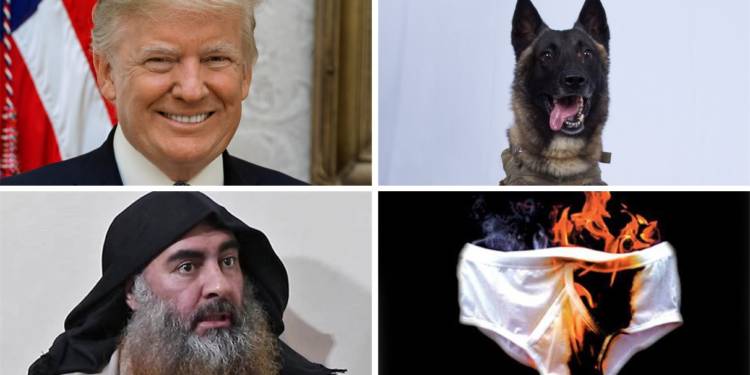 Donald trump, baghdadi, isis, dog