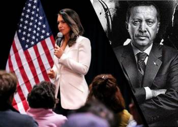 Tulsi Gabbard, Erdogan