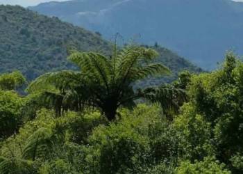 green belt, porbandar, panipat