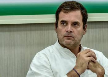 Rahul Gandhi, Free Trade congress