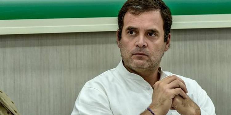 Rahul Gandhi, Free Trade congress