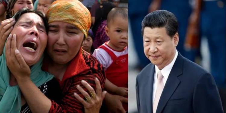 Uyghur Muslims, Xi Jinping