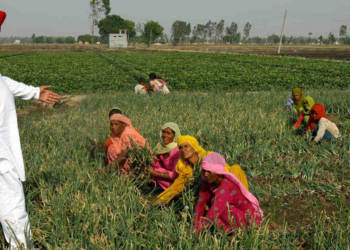 Why should rich farmers be exempted from paying taxes?