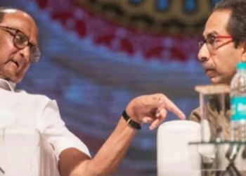 caa, pawar, uddhav, thackeray, sharad pawar