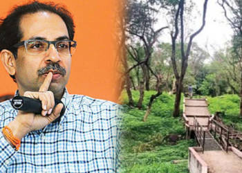 Uddhav Thackeray, Shiv Sena, Aarey