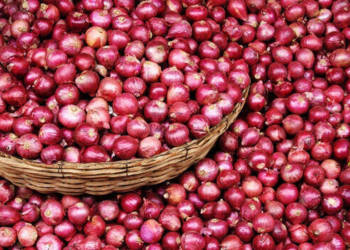 onion, price rise, shubhash chandra garg