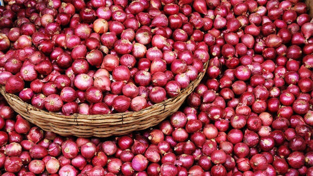 onion, price rise, shubhash chandra garg