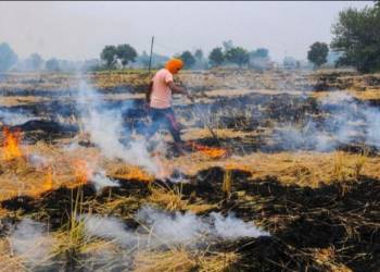 India, Sweden, stubble