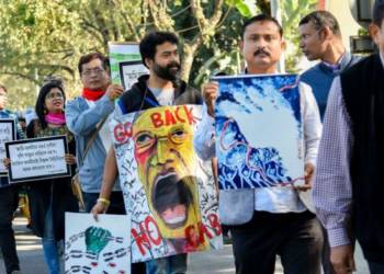 media, intellectuals