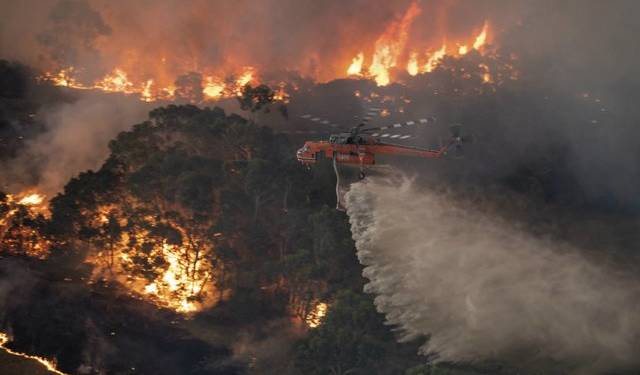 Australia Wildfire