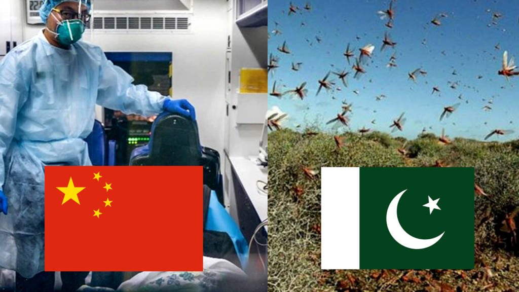 pakistan, China, locusts, Coronavirus,