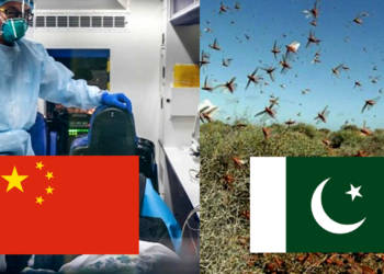 pakistan, China, locusts, Coronavirus,