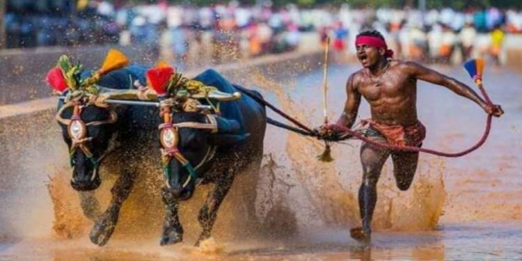 As Sports Minister calls on India’s Usain Bolt, BBC undermines the man and the sport