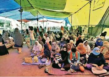 shaheen bagh, sherni, coronavirus