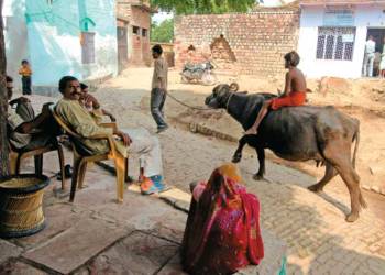 coronavirus, internal movement,