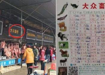 From Spanish flu to Coronavirus: Why some of the deadliest pandemics originate in China