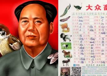 The real reason why China started consuming every other wild animal. It has something to do with sparrows and Mao