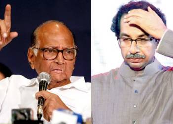sharad pawar uddhav