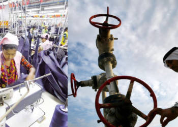 Economic Collapse, Single Sector Economy