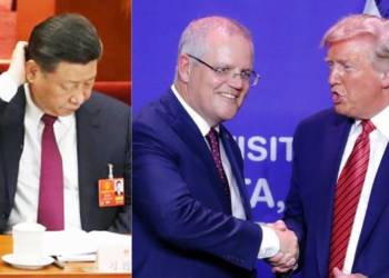 australia chinese language