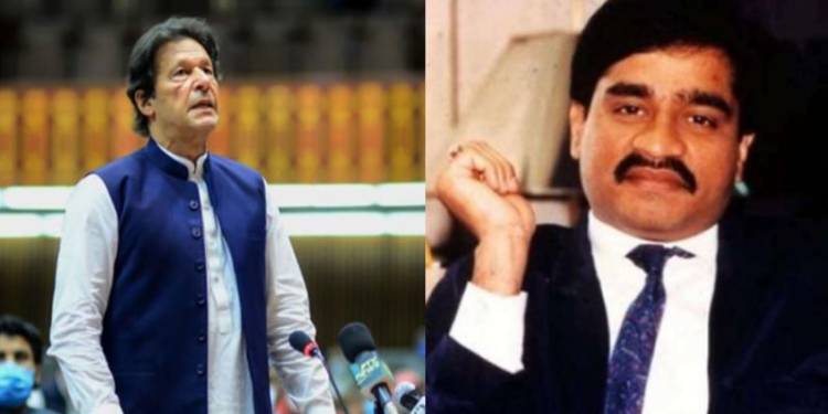 Pakistan sacrifices Dawood to attract some charity money after kick ...