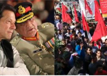 pakistan shias