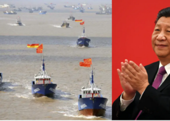 China, Chinese, aquatic