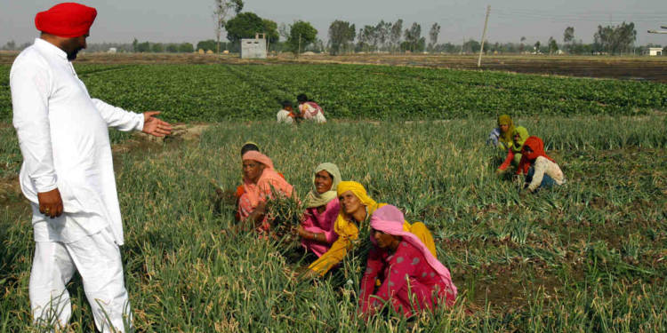 Farmers, Farm bills