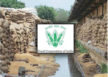 FCI, Food Corporation of India