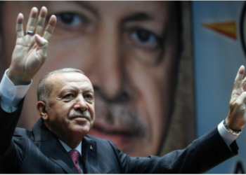 Turkey, Erdogan