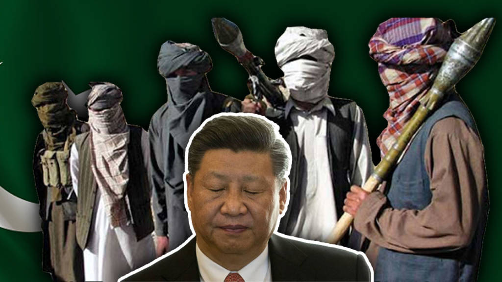 Xi Jinping, Pakistan, China, CPEC, TikTok