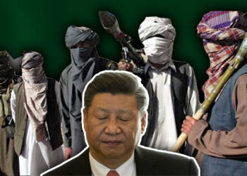 Xi Jinping, Pakistan, China, CPEC, TikTok