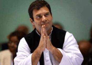 Rahul Gandhi economy