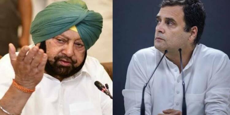 Rahul Gandhi, Congress, Farmers' protests, Amarinder Singh
