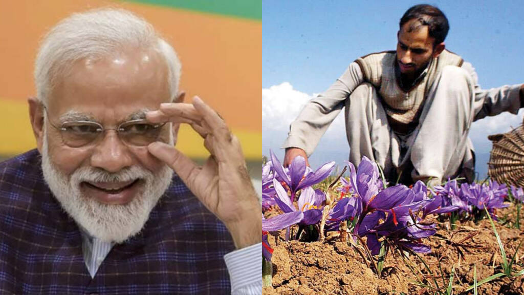 Kashmir, farmers, PM Modi, Saffron
