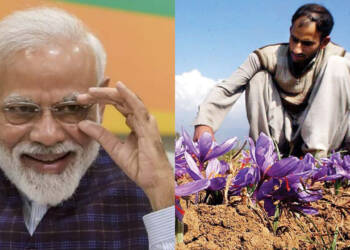Kashmir, farmers, PM Modi, Saffron