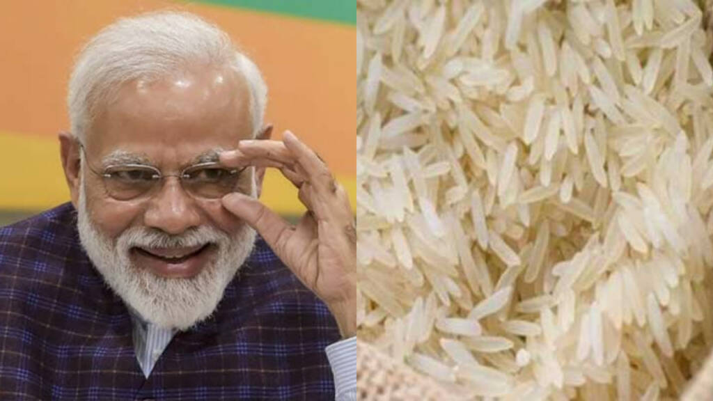 Indian rice, import