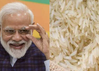 Indian rice, import