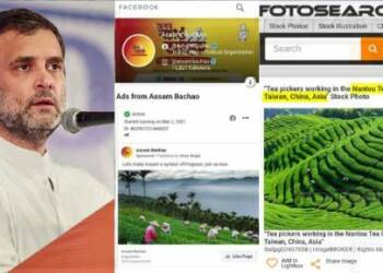 assam bachao congress tea garden gardens taiwan